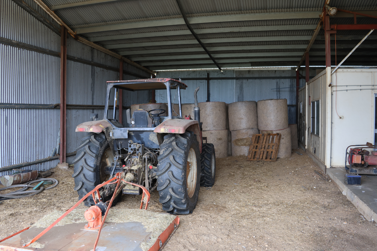 1075 McDonald Flat Road , Clermont Auction by Farmbuy.com - image 18