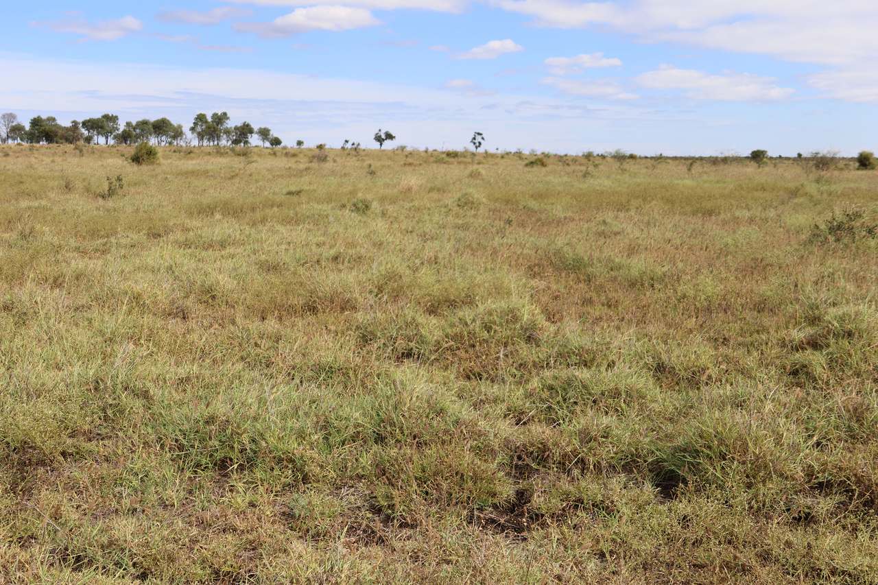 1075 McDonald Flat Road , Clermont Auction by Farmbuy.com - image 4