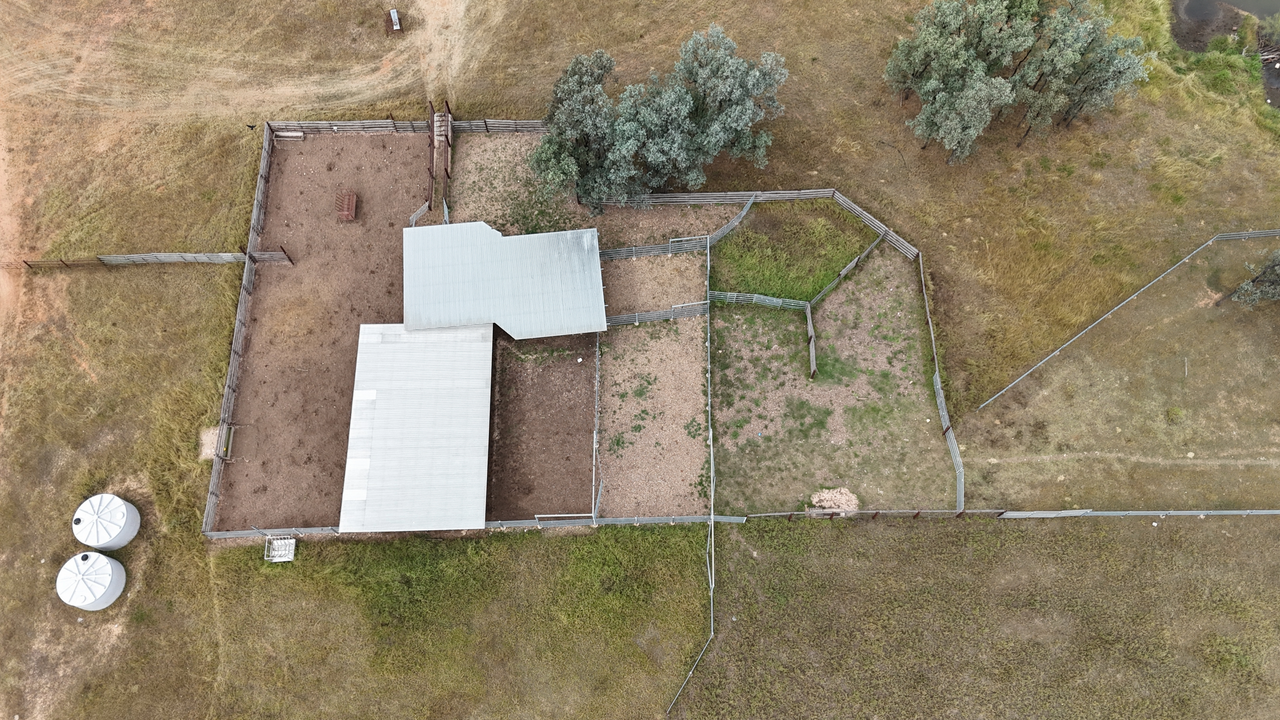 1075 McDonald Flat Road , Clermont Auction by Farmbuy.com - image 12