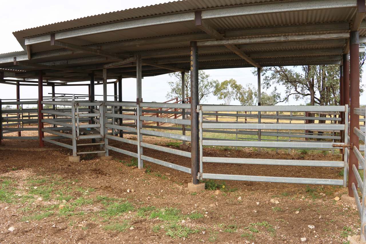1075 McDonald Flat Road , Clermont Auction by Farmbuy.com - image 14