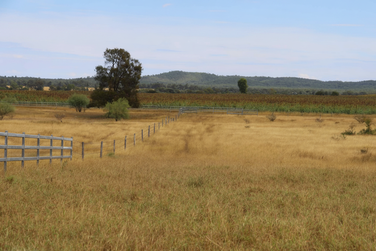 1075 McDonald Flat Road , Clermont Auction by Farmbuy.com - image 2
