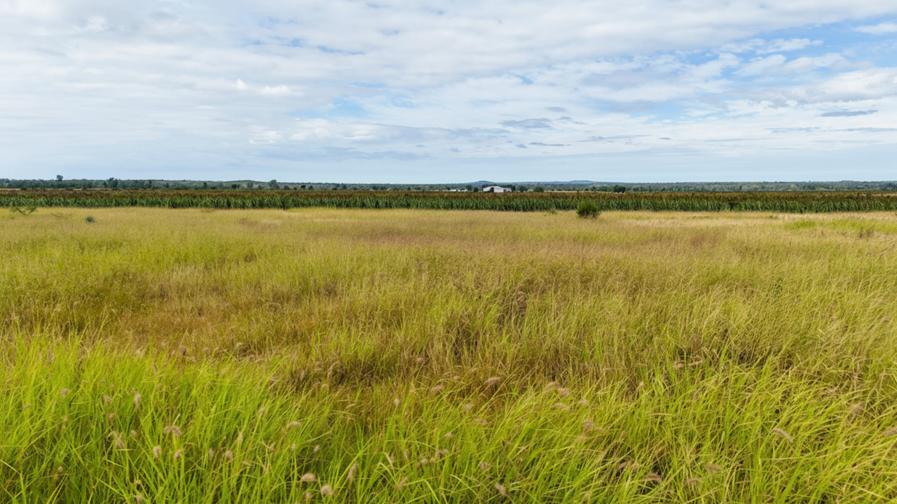 1075 McDonald Flat Road , Clermont Auction by Farmbuy.com - image 6