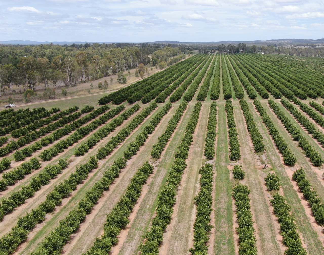 1908 Boondooma Rd, Old Cooranga For Sale by Farmbuy.com - image 2