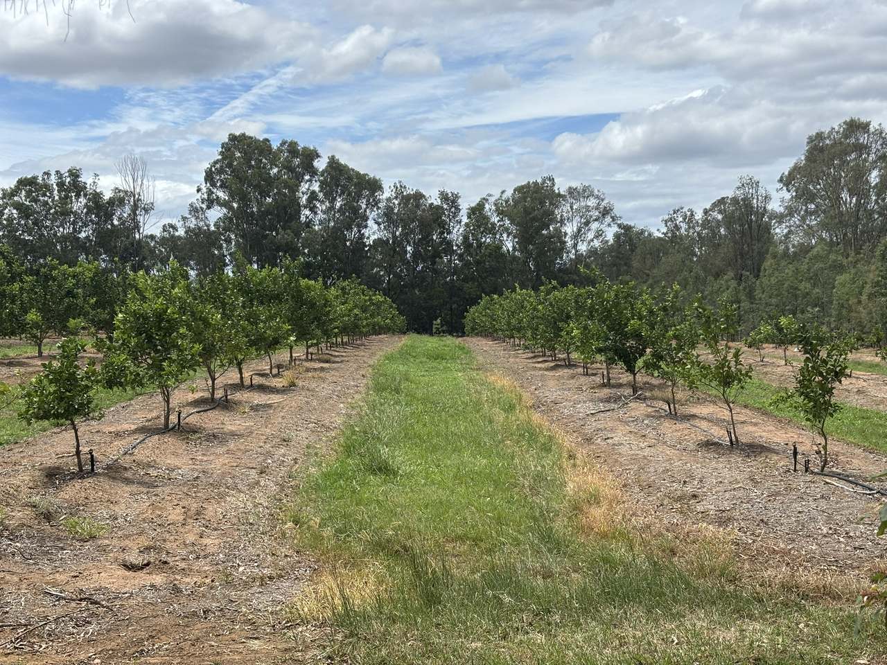 1908 Boondooma Rd, Old Cooranga For Sale by Farmbuy.com - image 9