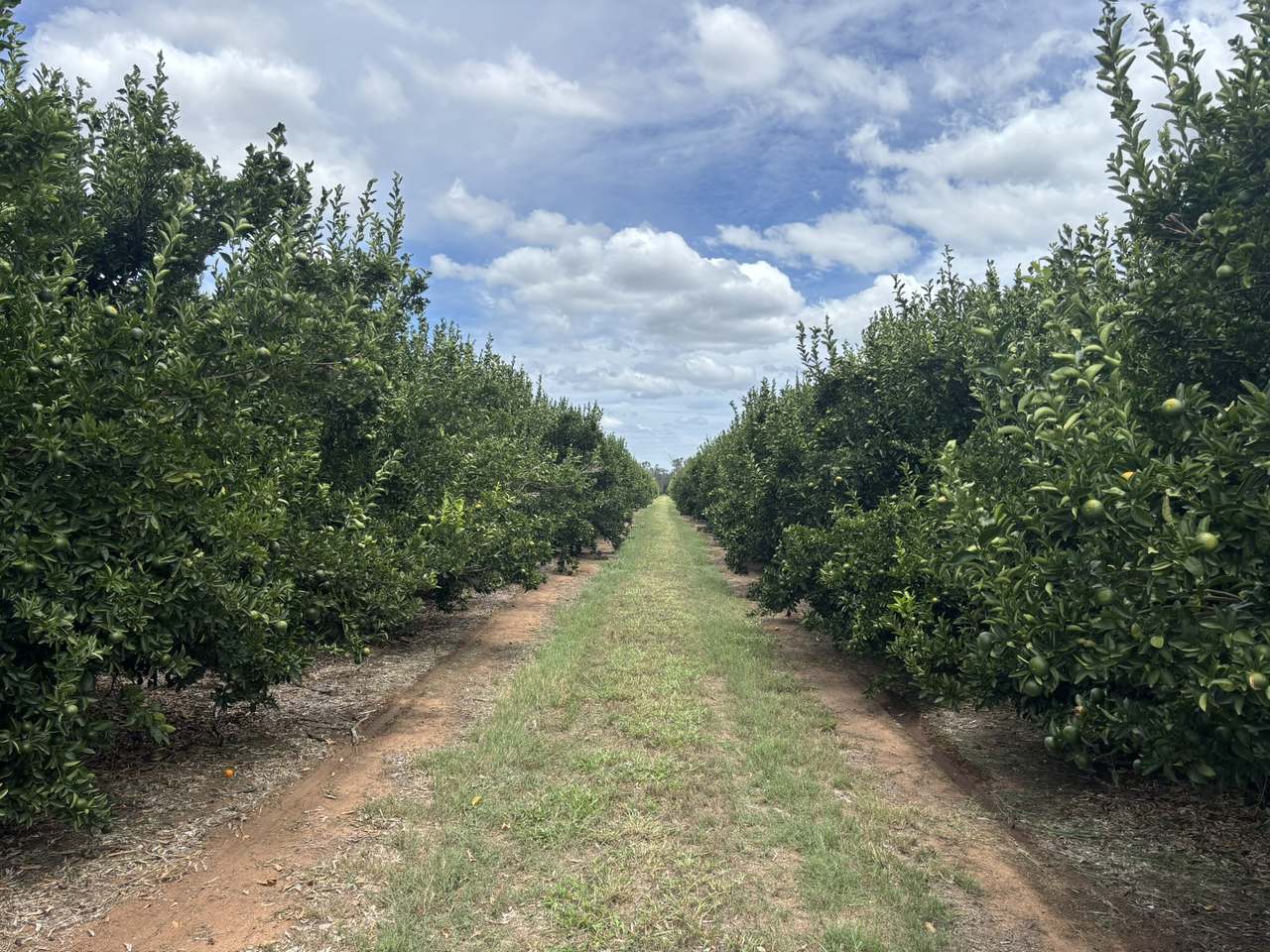 1908 Boondooma Rd, Old Cooranga For Sale by Farmbuy.com - image 7