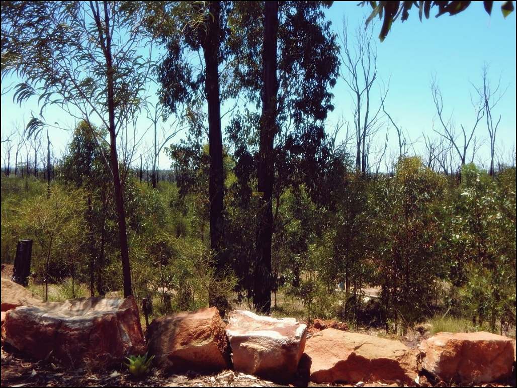 142 Basil Drive, Forest Ridge For Sale by Farmbuy.com - image 22