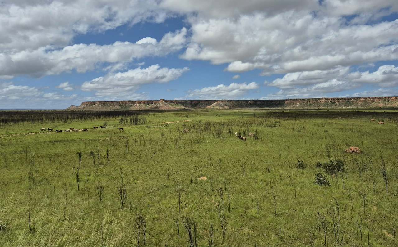 Dampier Downs Road, Gingerah For Sale by Farmbuy.com - image 20