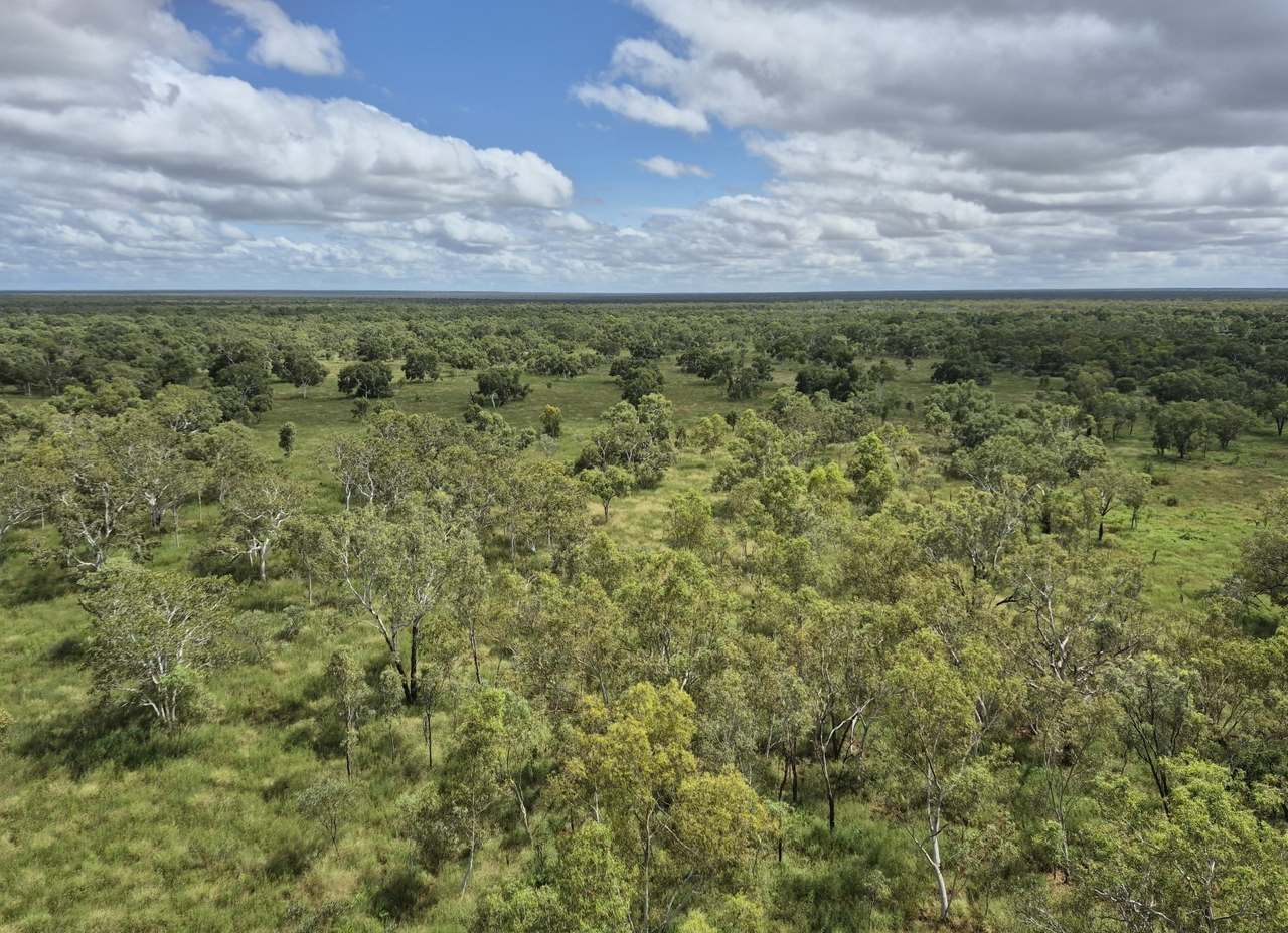 Dampier Downs Road, Gingerah For Sale by Farmbuy.com - image 29
