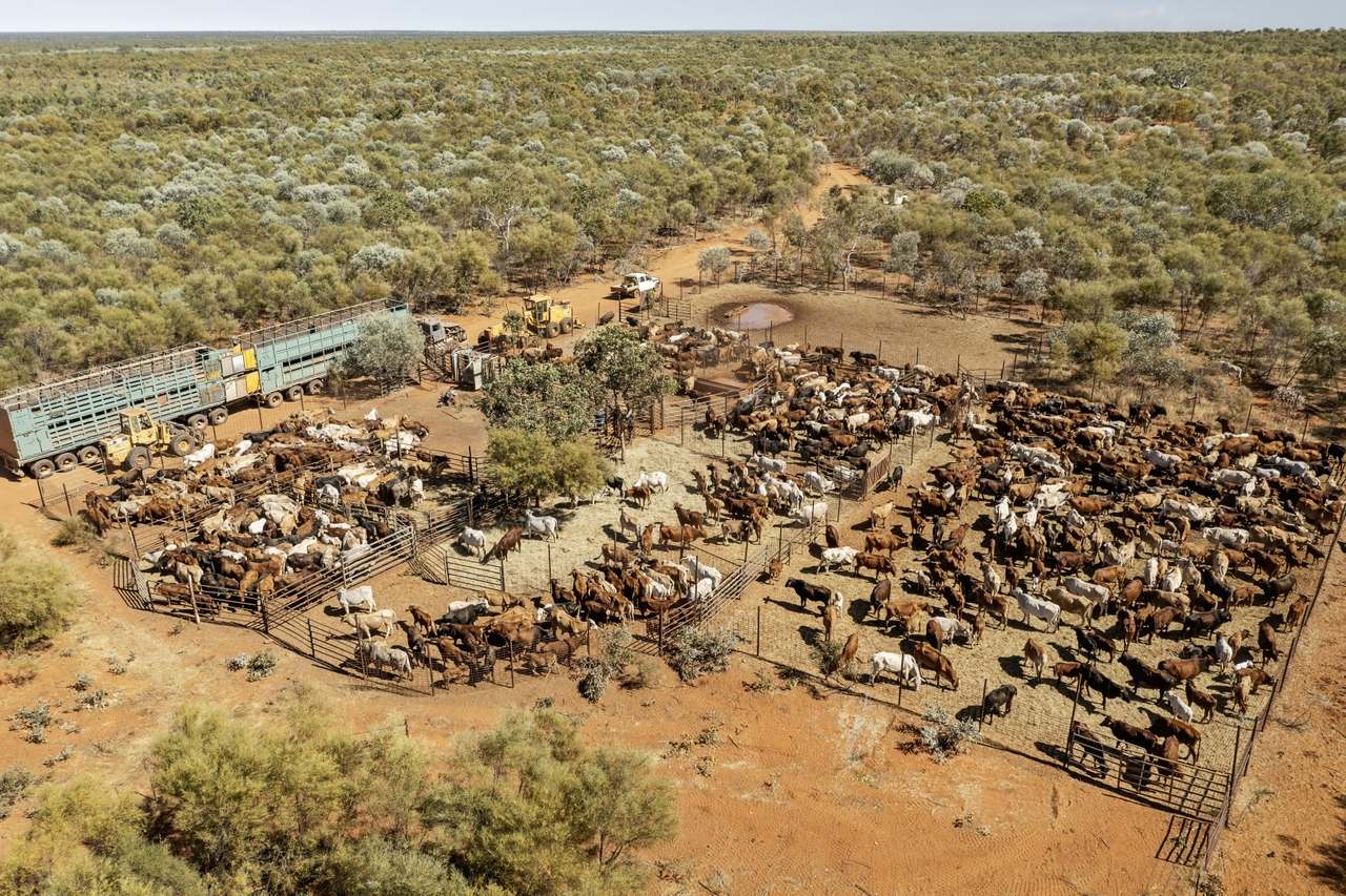 Dampier Downs Road, Gingerah For Sale by Farmbuy.com - image 6