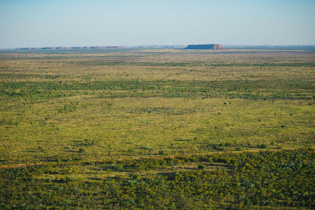 Dampier Downs Road, Gingerah For Sale by Farmbuy.com - image 30