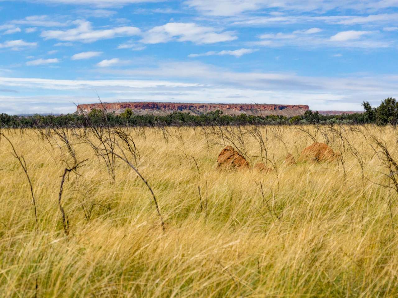 Dampier Downs Road, Gingerah For Sale by Farmbuy.com - image 26