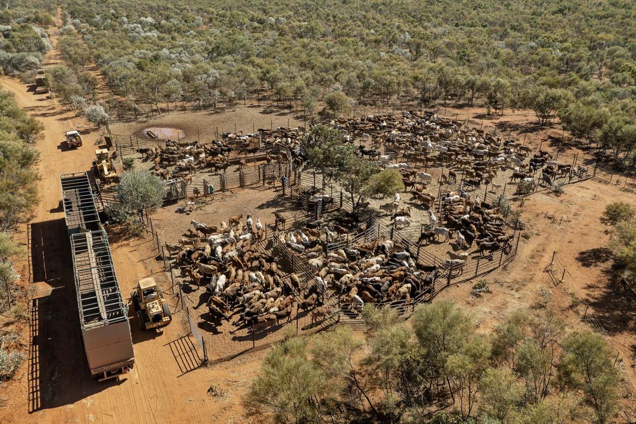 Dampier Downs Road, Gingerah For Sale by Farmbuy.com - image 23