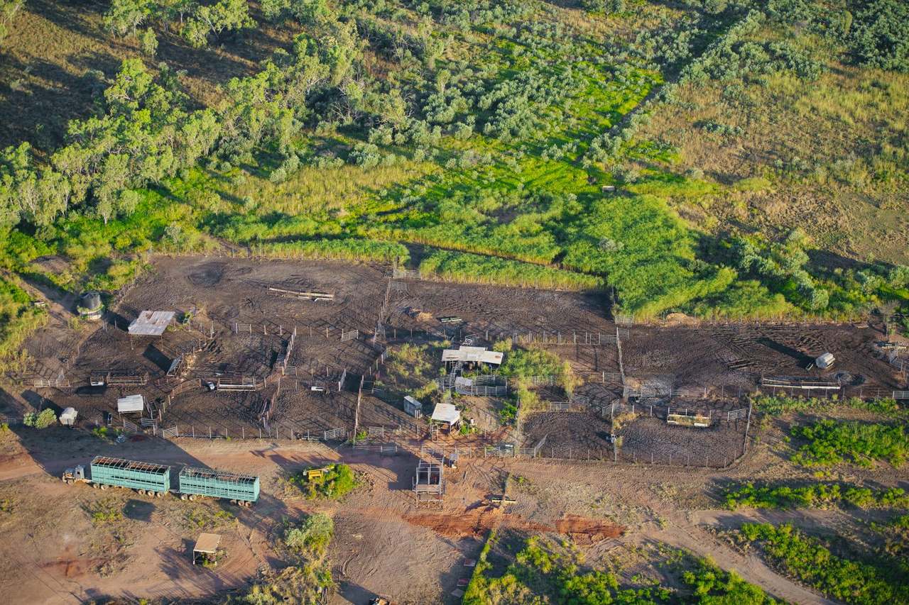 Dampier Downs Road, Gingerah For Sale by Farmbuy.com - image 11