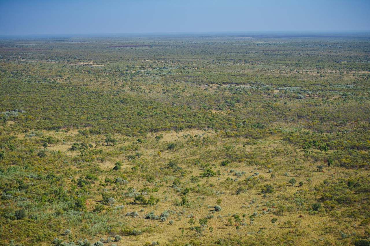 Dampier Downs Road, Gingerah For Sale by Farmbuy.com - image 19