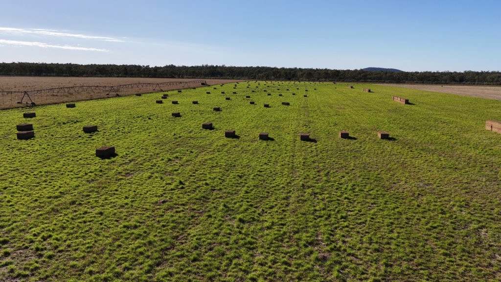 1522 Lancewood Road, Basalt Expressions of Interest by Farmbuy.com - image 13
