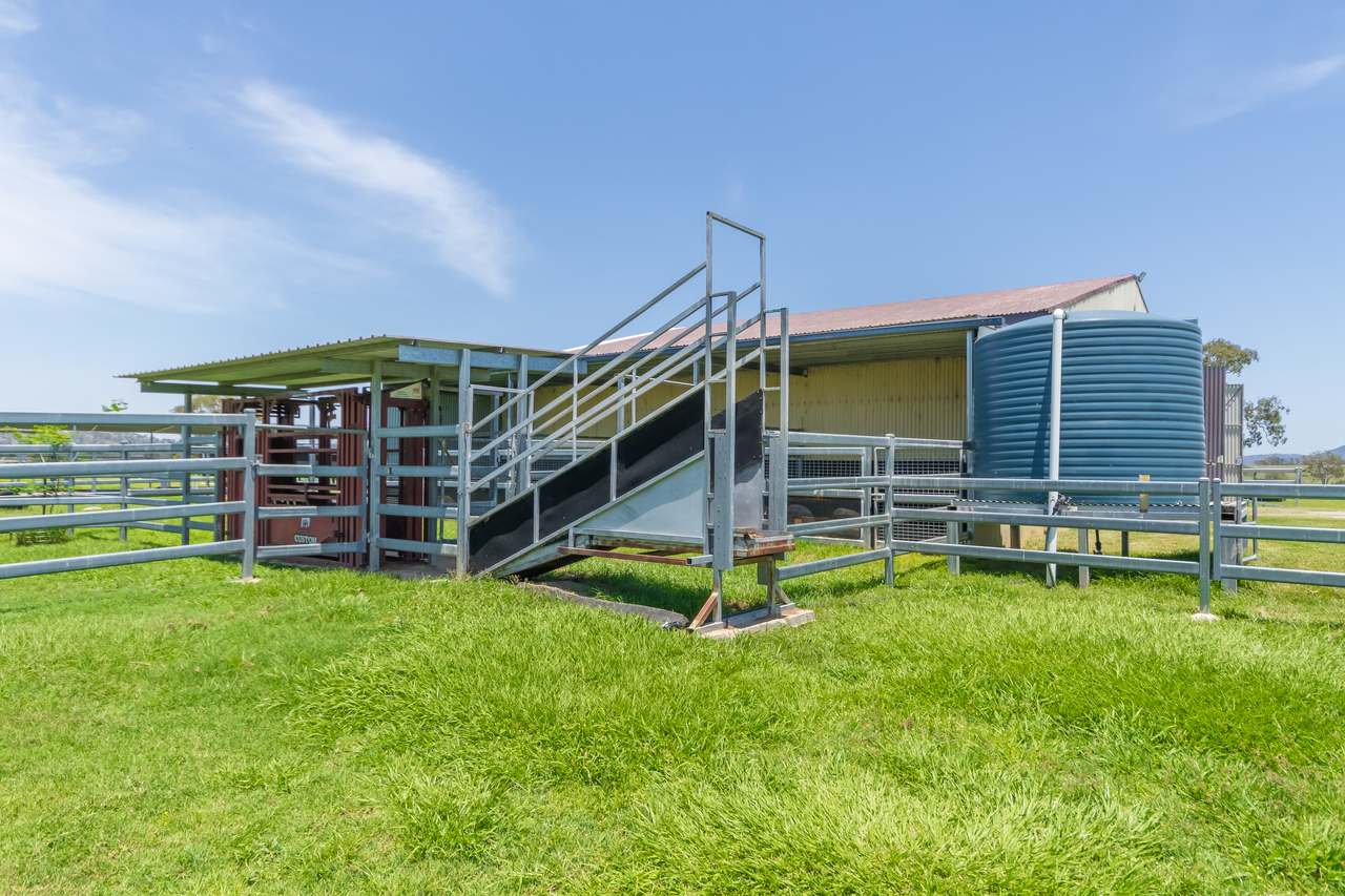 60 Olearys Lane, Harlin For Sale by Farmbuy.com - image 16