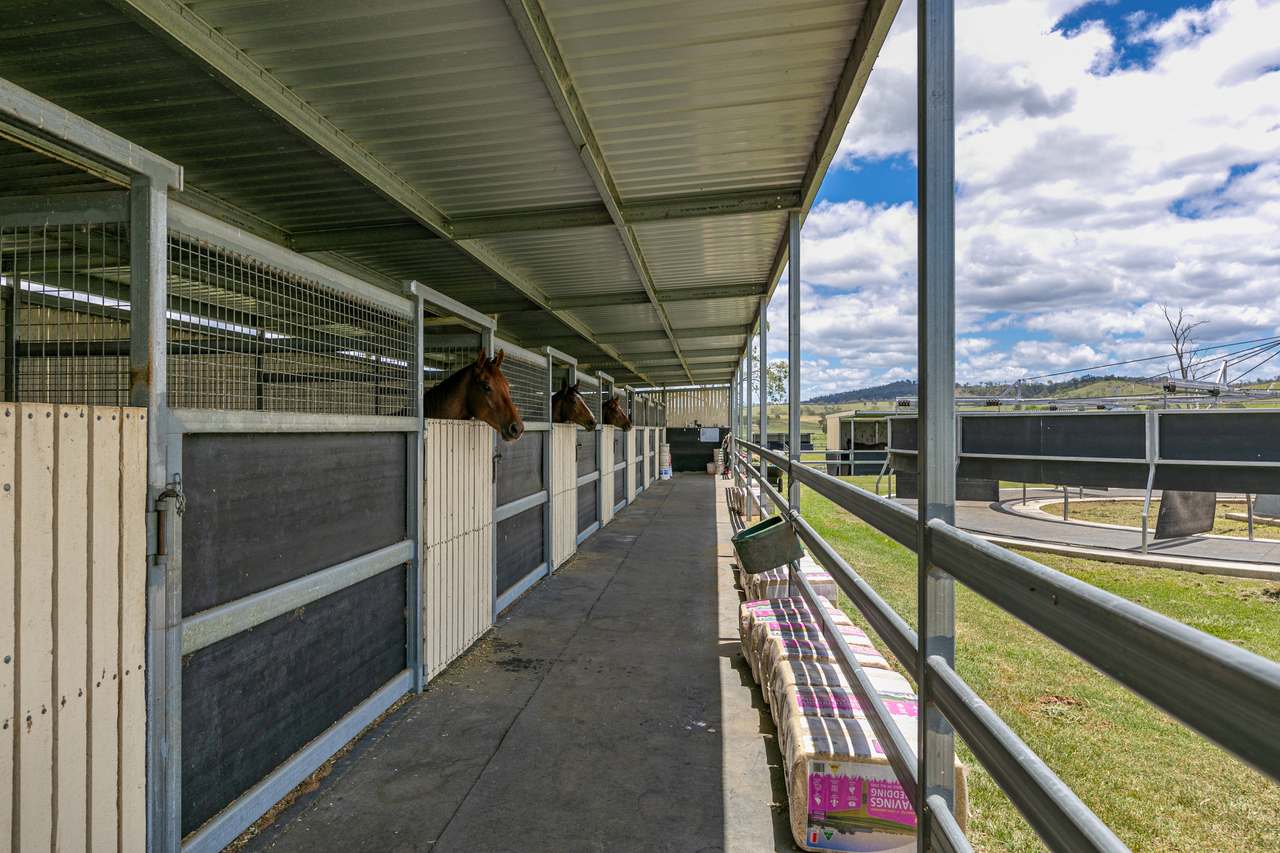 60 Olearys Lane, Harlin For Sale by Farmbuy.com - image 13