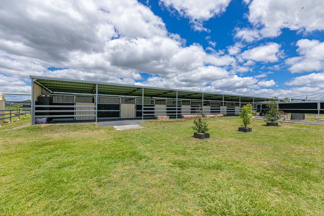 60 Olearys Lane, Harlin For Sale by Farmbuy.com - image 12