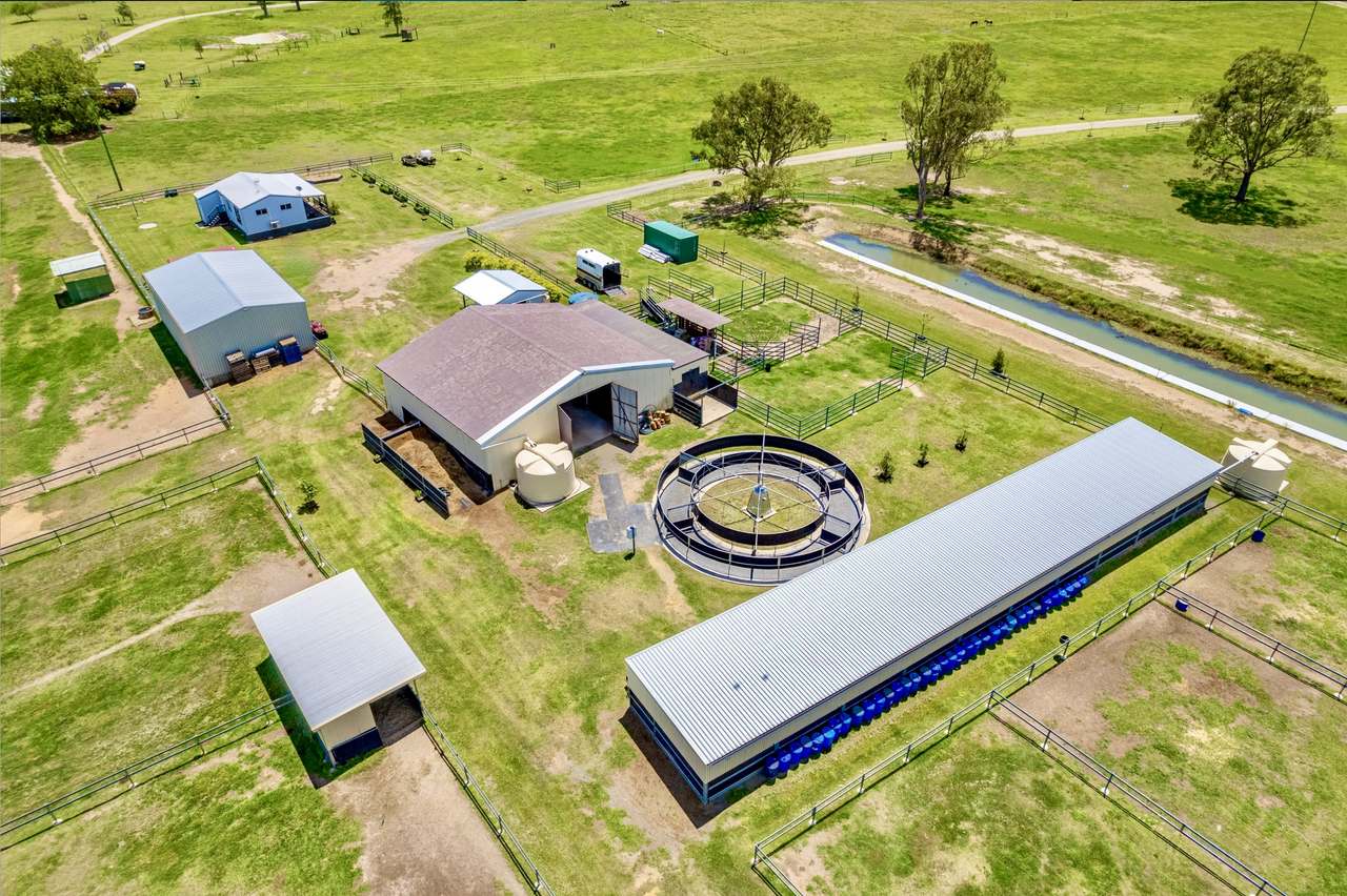 60 Olearys Lane, Harlin For Sale by Farmbuy.com - image 2