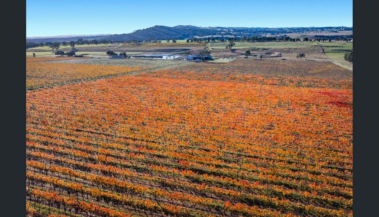 2115 Burke and Wills Track, Baynton For Sale by Farmbuy.com - image 7