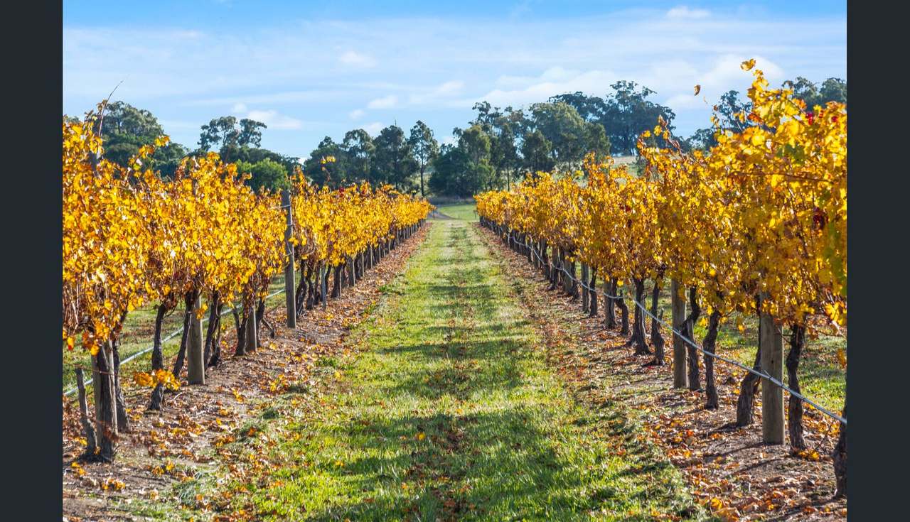 2115 Burke and Wills Track, Baynton For Sale by Farmbuy.com - image 9