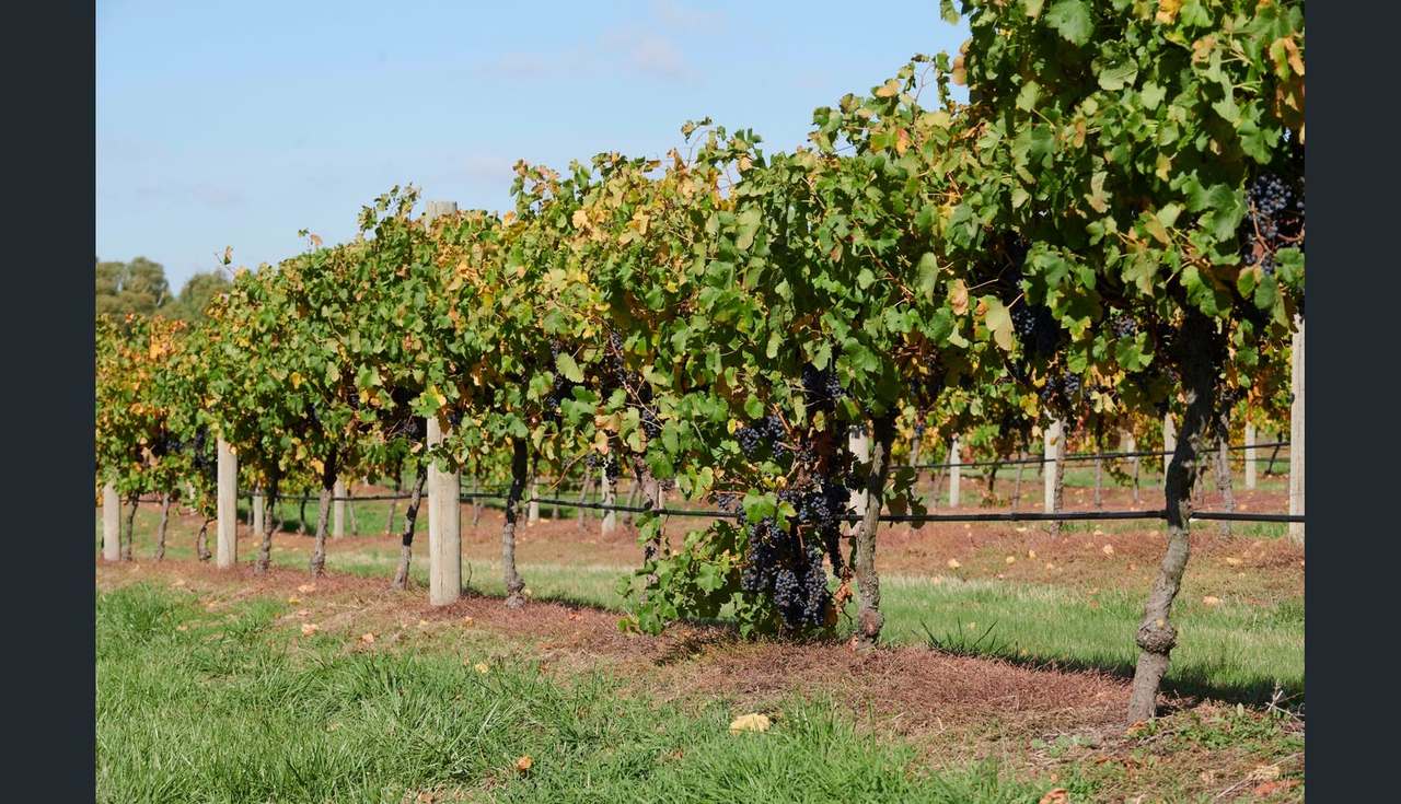 2115 Burke and Wills Track, Baynton For Sale by Farmbuy.com - image 21