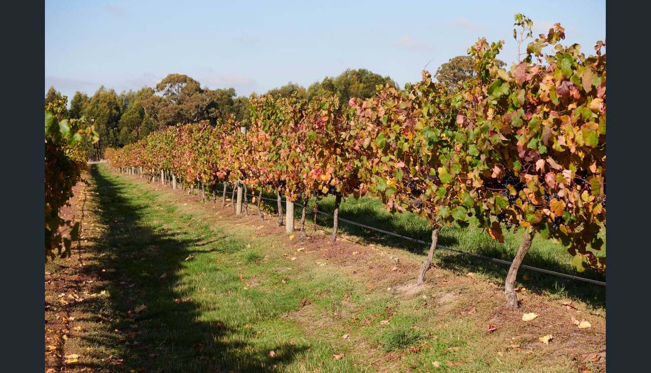 2115 Burke and Wills Track, Baynton For Sale by Farmbuy.com - image 22