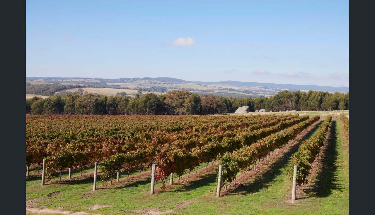 2115 Burke and Wills Track, Baynton For Sale by Farmbuy.com - image 24
