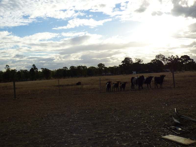 LOT 27 Bartels Road, KOGAN For Sale by Farmbuy.com - image 15