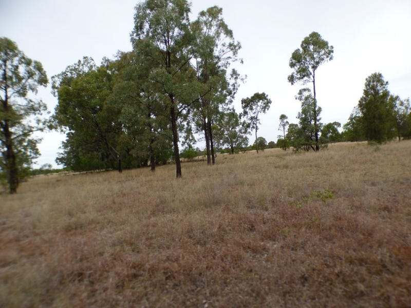 347 Kofoeds Road, TARA For Sale by Farmbuy.com - image 3