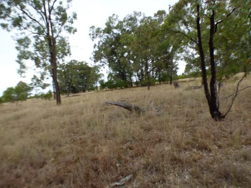 347 Kofoeds Road, TARA For Sale by Farmbuy.com - image 9