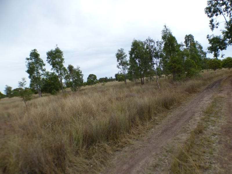 347 Kofoeds Road, TARA For Sale by Farmbuy.com - image 4