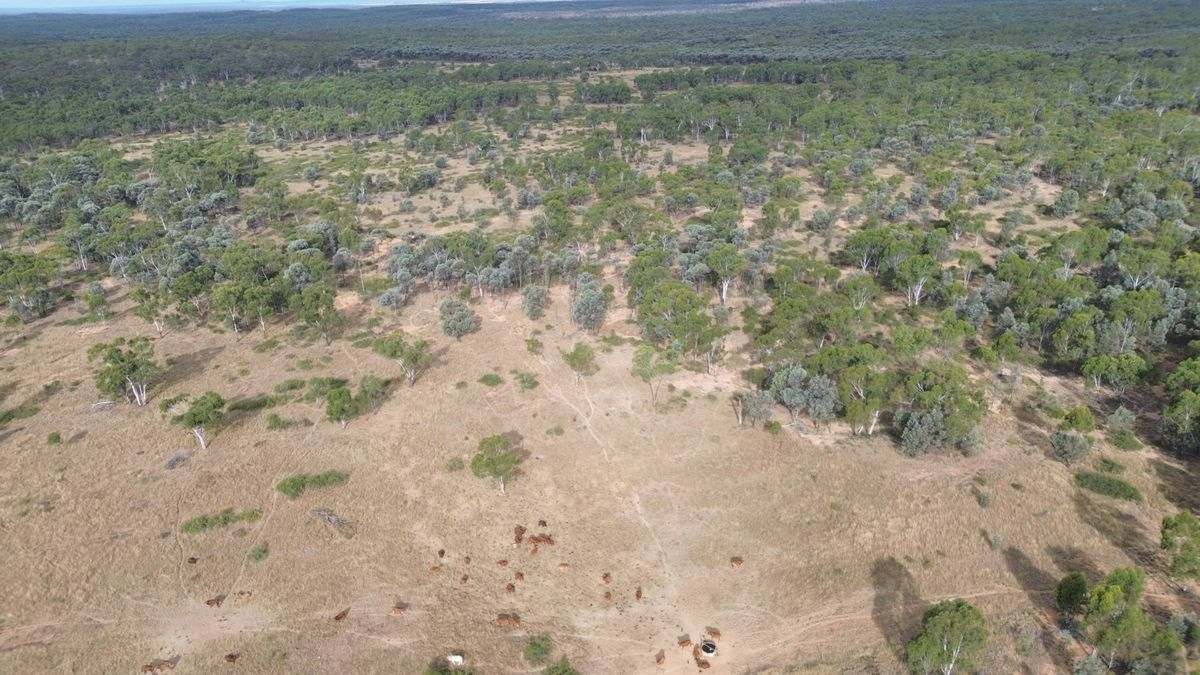 Cape River Belyando Highway, Charters Towers Expressions of Interest by Farmbuy.com - image 11