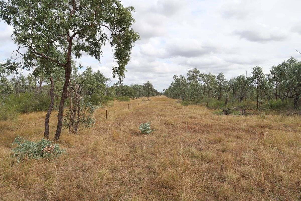 Cape River Belyando Highway, Charters Towers Expressions of Interest by Farmbuy.com - image 20