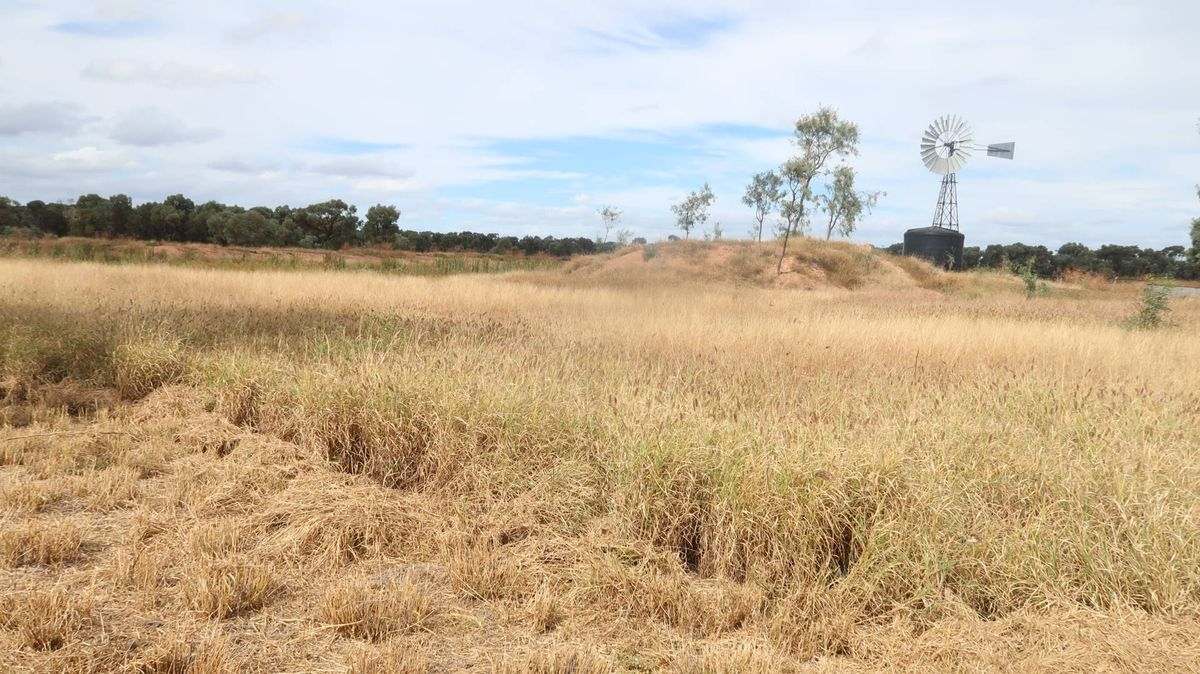 Cape River Belyando Highway, Charters Towers Expressions of Interest by Farmbuy.com - image 25