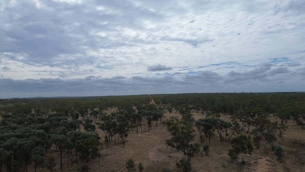 Cape River Belyando Highway, Charters Towers Expressions of Interest by Farmbuy.com - image 13