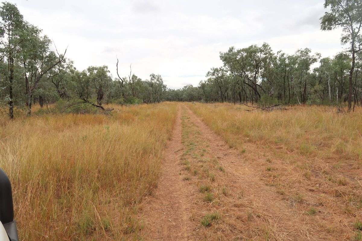 Cape River Belyando Highway, Charters Towers Expressions of Interest by Farmbuy.com - image 7