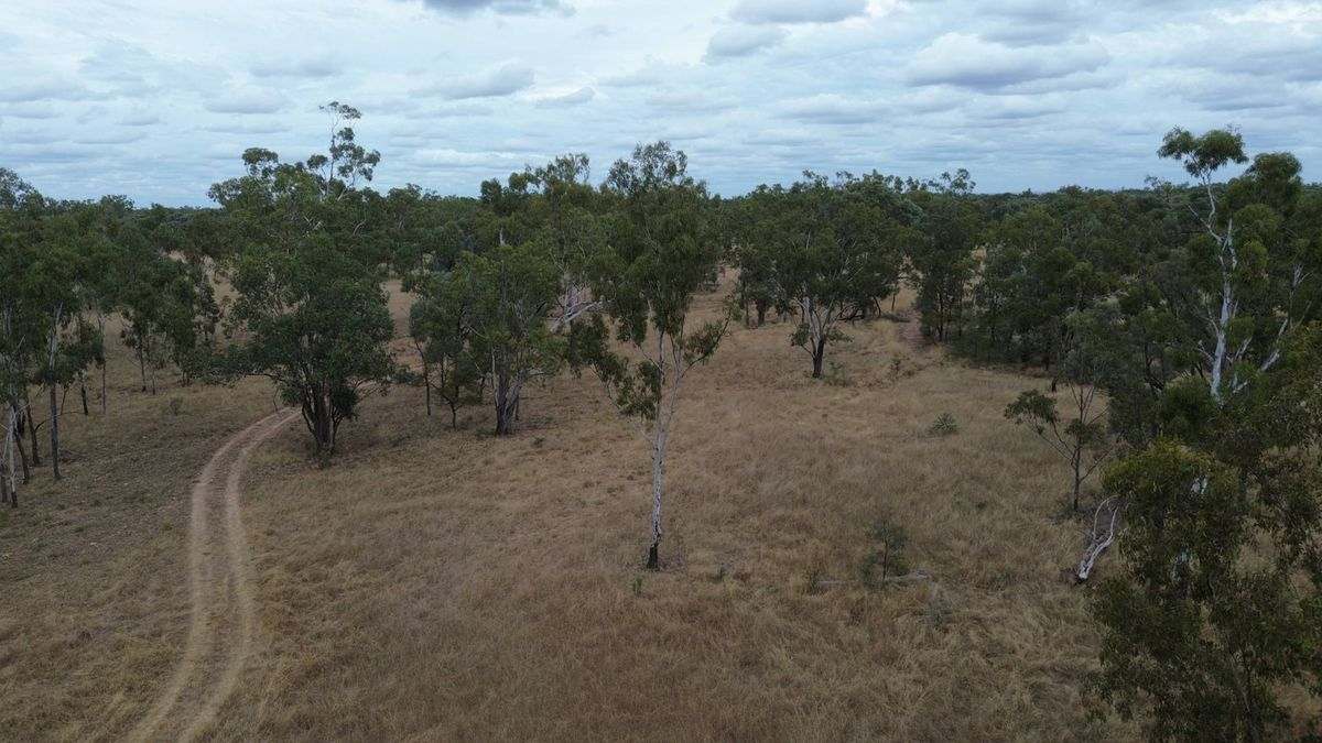 Cape River Belyando Highway, Charters Towers Expressions of Interest by Farmbuy.com - image 15