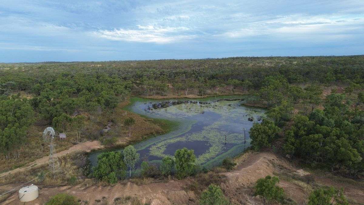 Cape River Belyando Highway, Charters Towers Expressions of Interest by Farmbuy.com - image 3