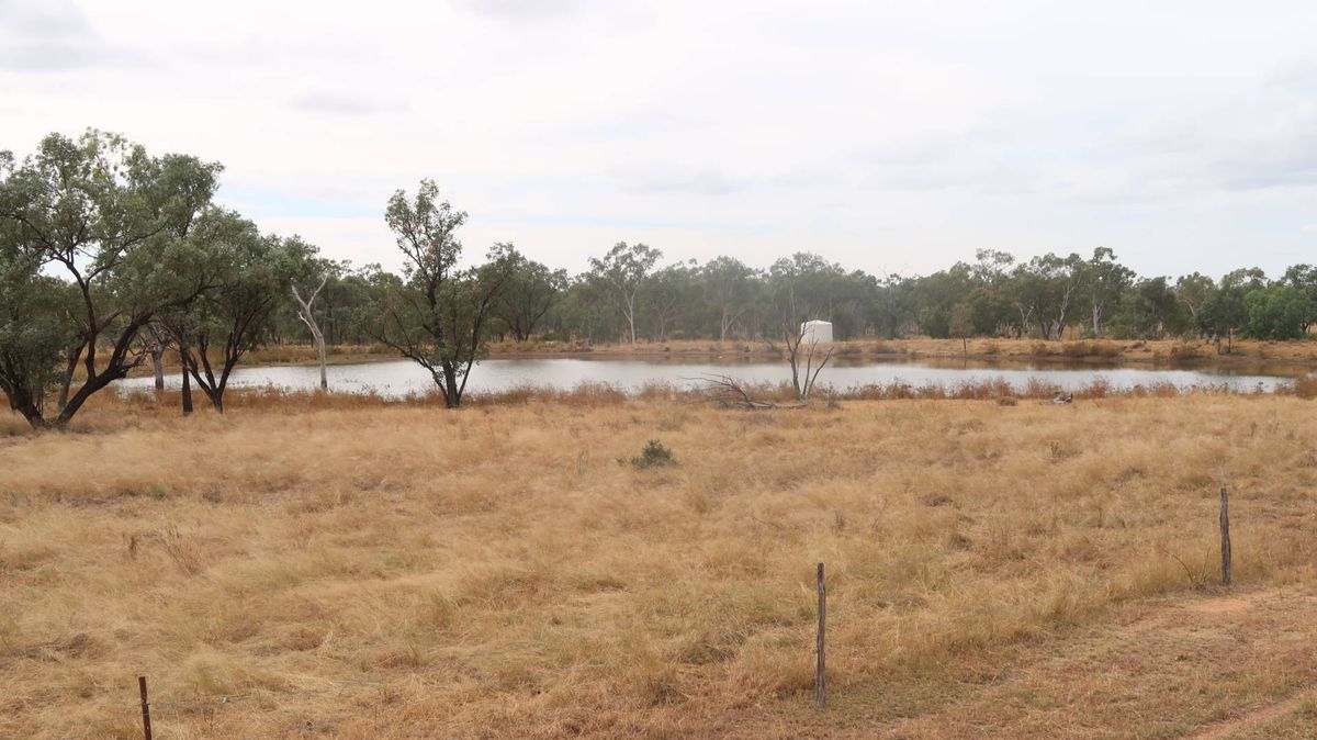 Cape River Belyando Highway, Charters Towers Expressions of Interest by Farmbuy.com - image 9