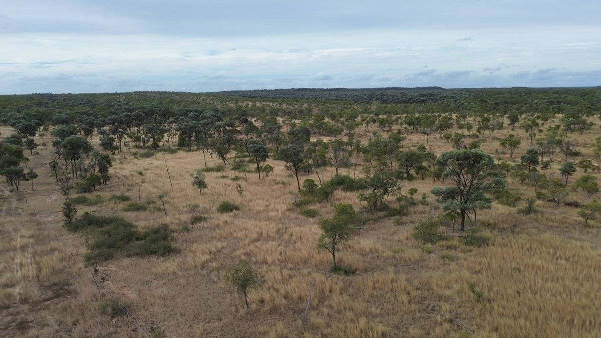 Cape River Belyando Highway, Charters Towers Expressions of Interest by Farmbuy.com - image 12