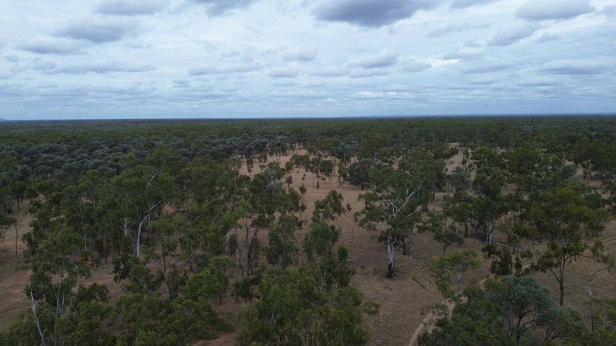 Cape River Belyando Highway, Charters Towers Expressions of Interest by Farmbuy.com - image 6