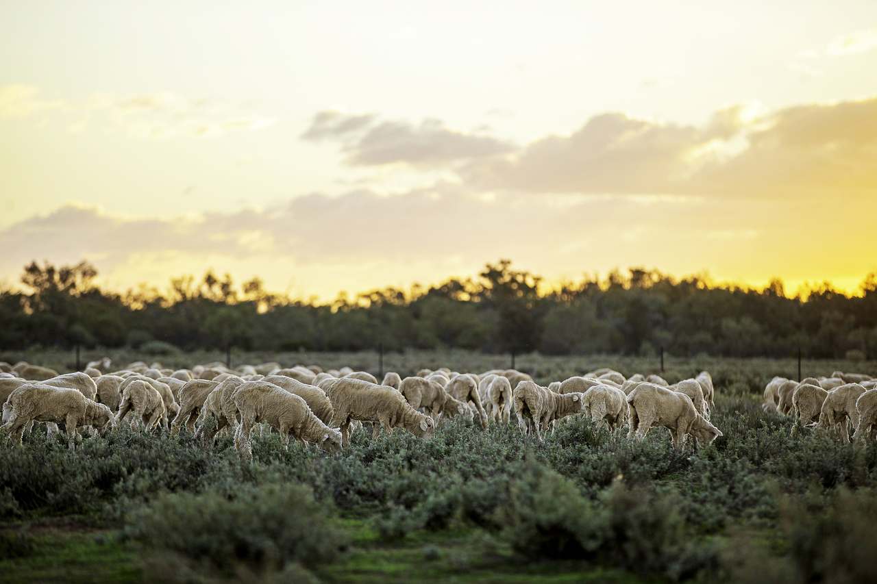1759 Booka Road, The Marra Expressions of Interest by Farmbuy.com - image 2