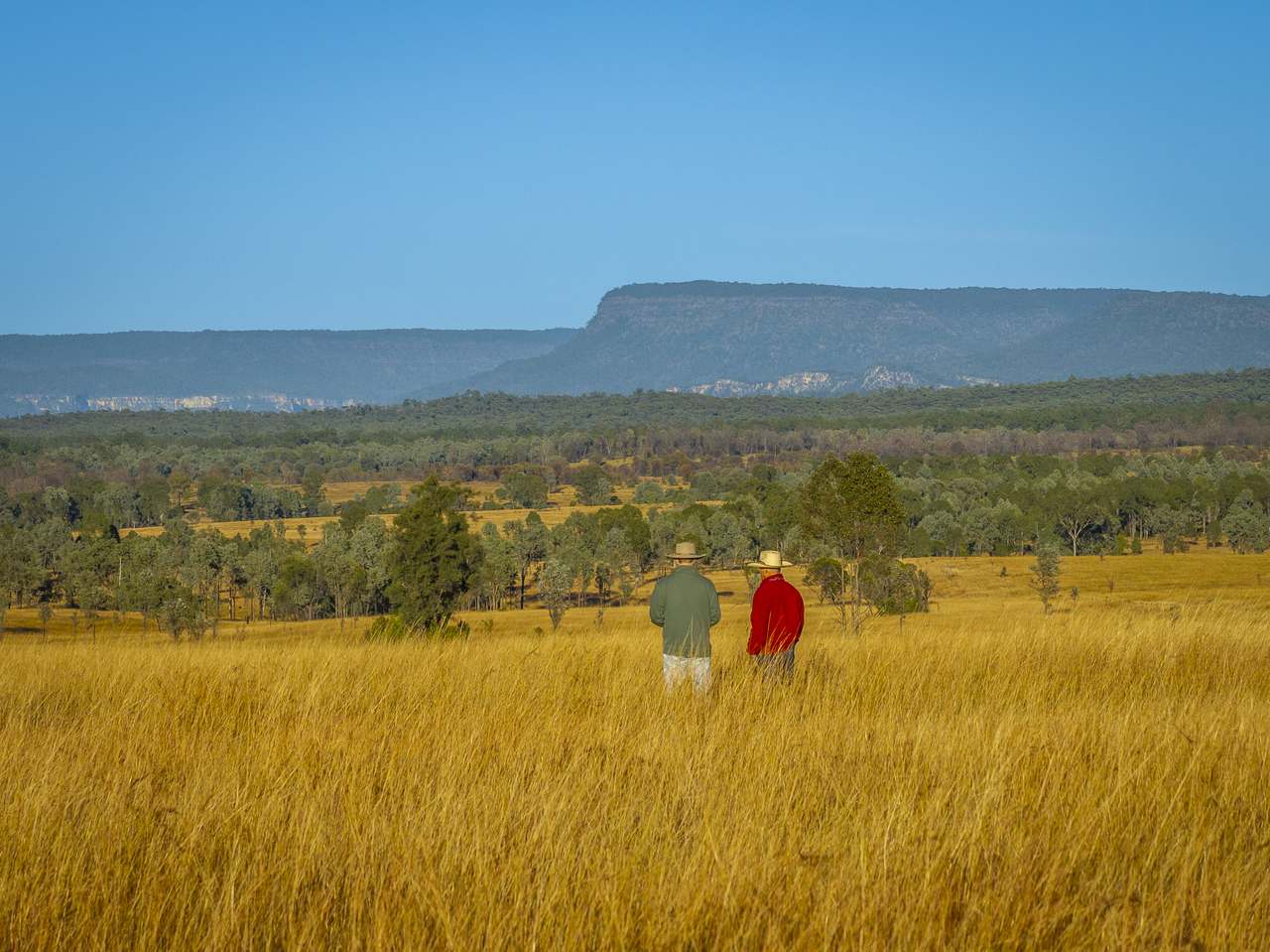 13238 Carnarvon Highway, Rolleston For Sale by Farmbuy.com - image 26