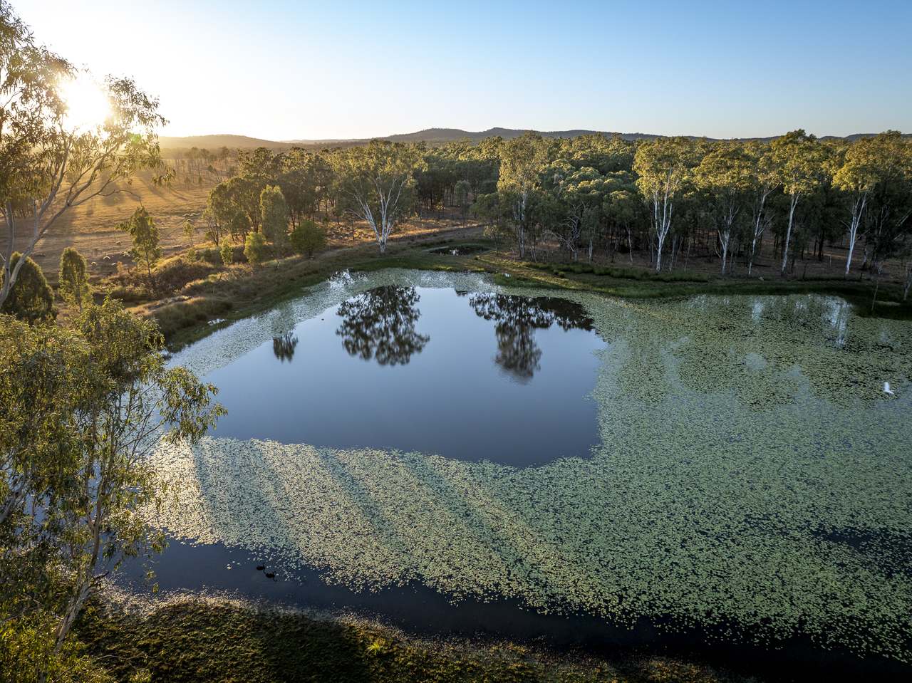 13238 Carnarvon Highway, Rolleston For Sale by Farmbuy.com - image 11