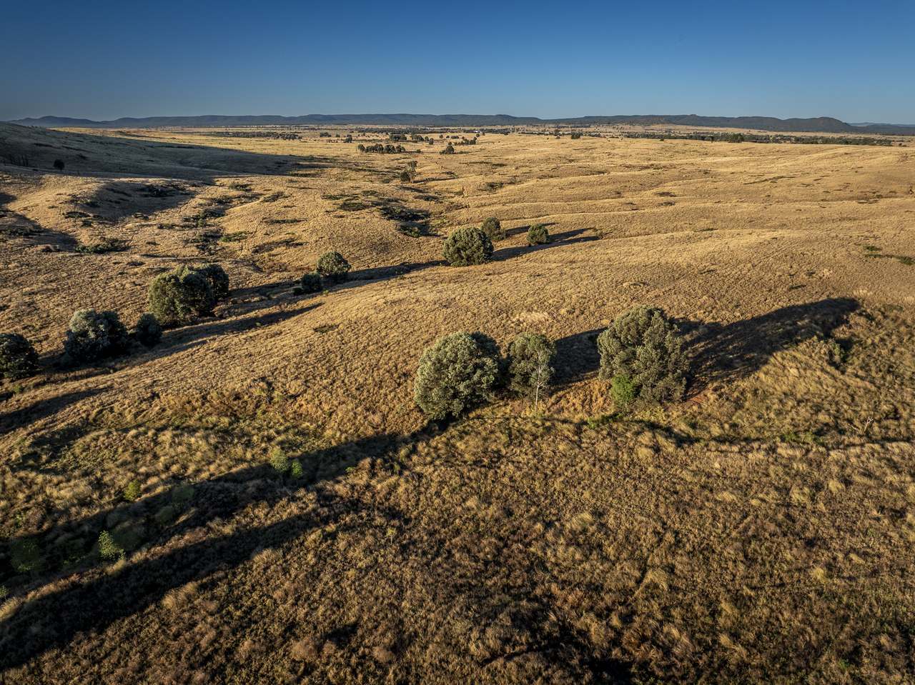 13238 Carnarvon Highway, Rolleston For Sale by Farmbuy.com - image 9