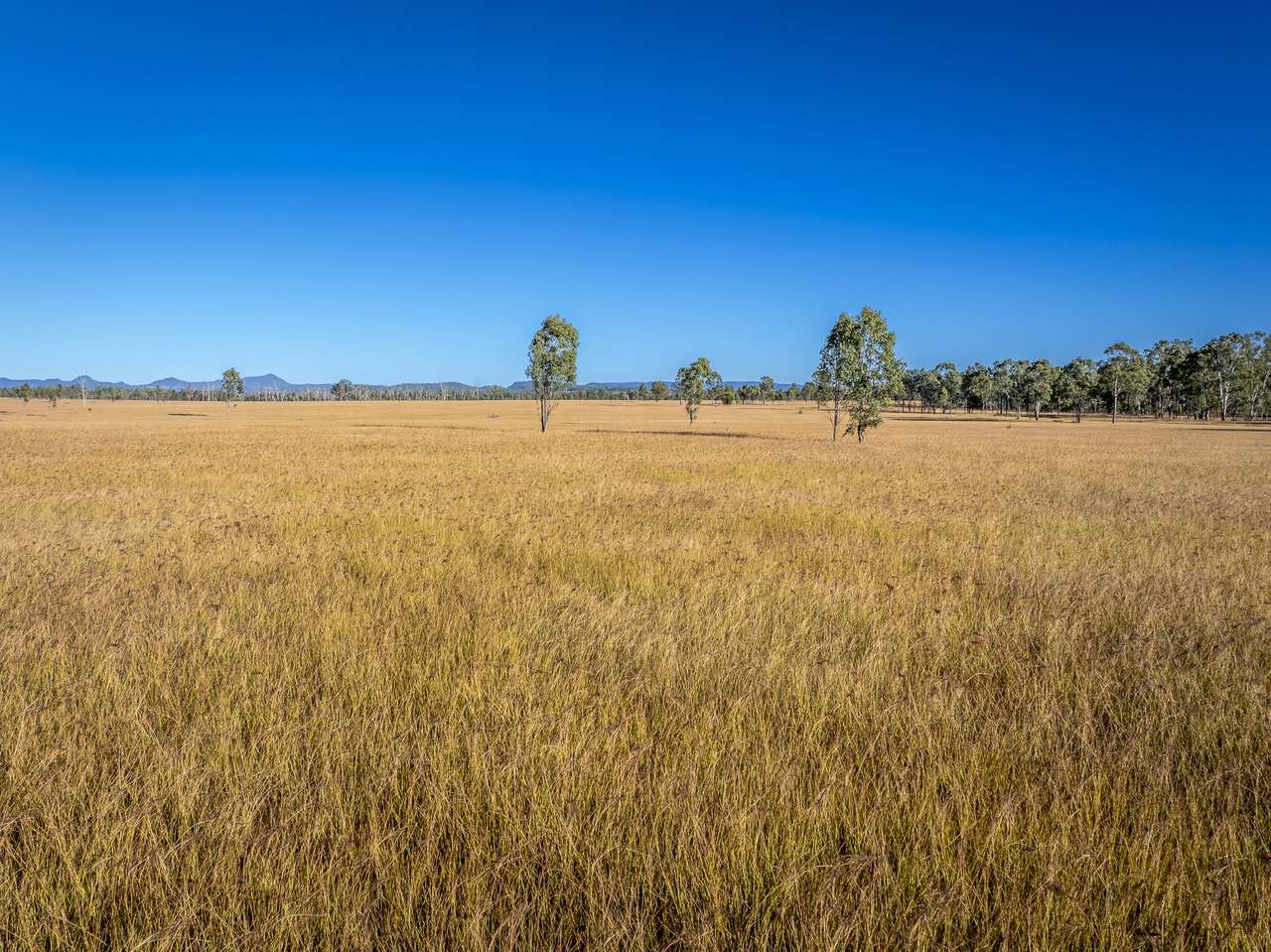 13238 Carnarvon Highway, Rolleston For Sale by Farmbuy.com - image 7