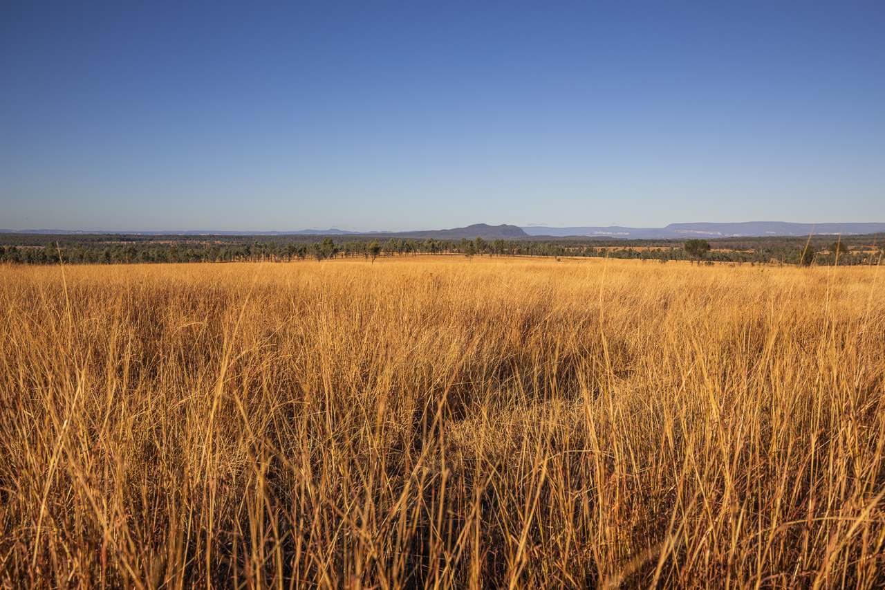 13238 Carnarvon Highway, Rolleston For Sale by Farmbuy.com - image 8