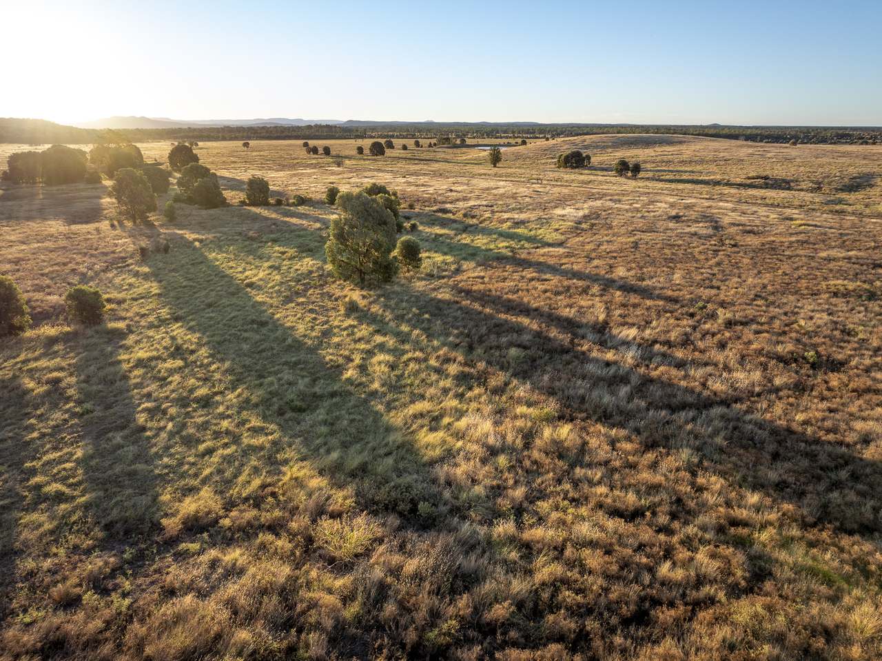 13238 Carnarvon Highway, Rolleston For Sale by Farmbuy.com - image 6