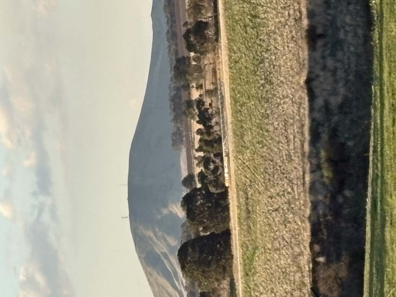 99 Birchs Creek Road, Kingston For Sale by Farmbuy.com - image 12